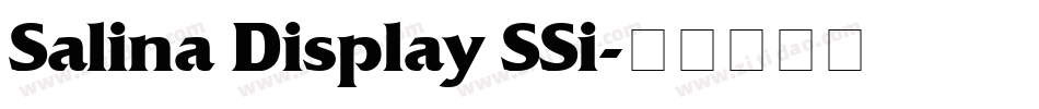 Salina Display SSi字体转换